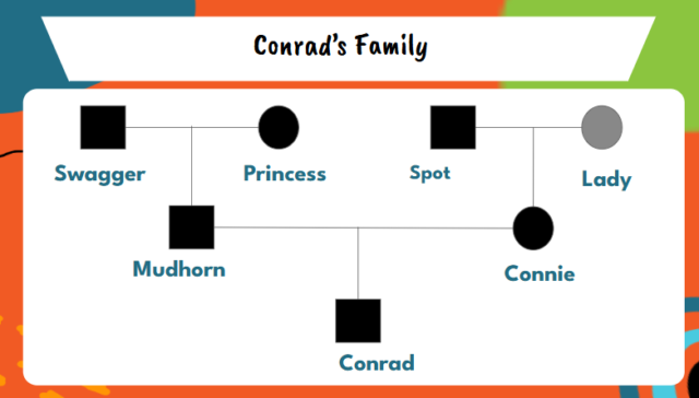 Screenshot 2026-03-15 074308