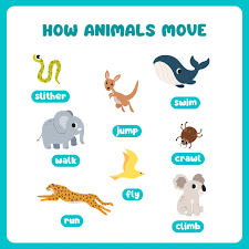 shows and lists ways animals move