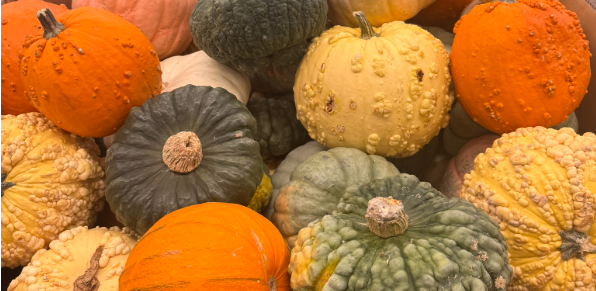colorful gourds